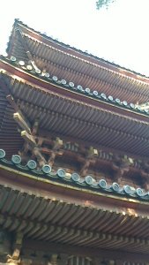 NEC_0001_20160822000904f0a.jpg