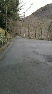 NEC_0006_20180322150930448.jpg
